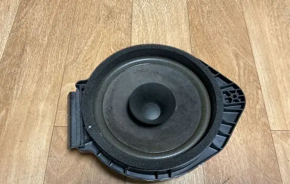Opel Insignia A Rear door speaker 