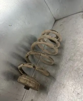Rear coil spring