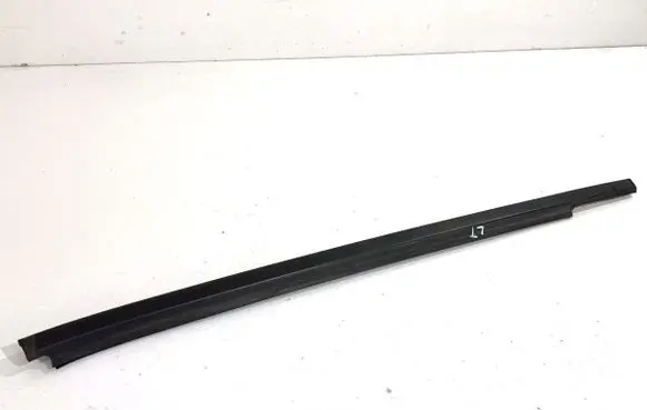 Nissan Juke I F15 Loading door glass trim molding 