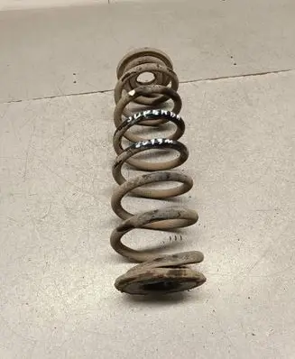 Rear coil spring