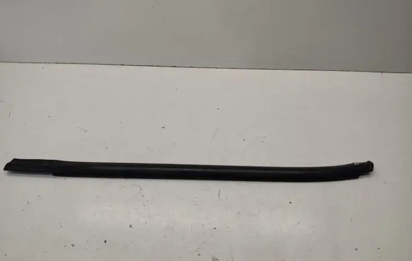 KIA Optima Rear door glass trim molding