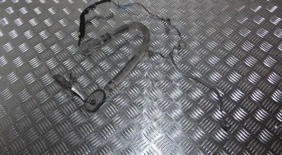 Rear door wiring loom