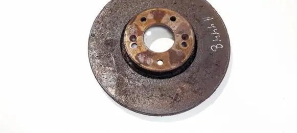 Hyundai Santa Fe Front brake disc ventiliuojamas