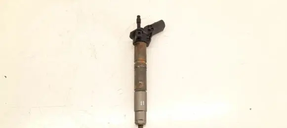 Mercedes-Benz GL X164 Fuel injector 6420701487 6420700887