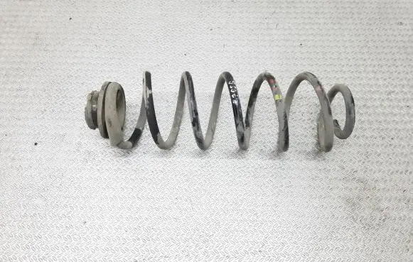 Rear coil spring