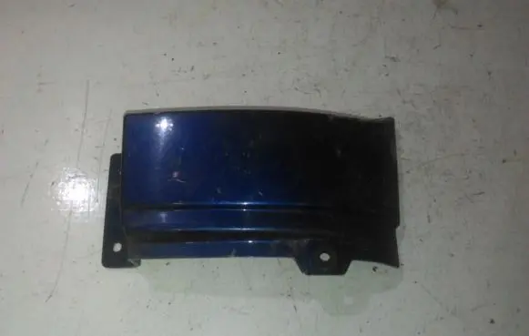 Rear/tail light trim molding