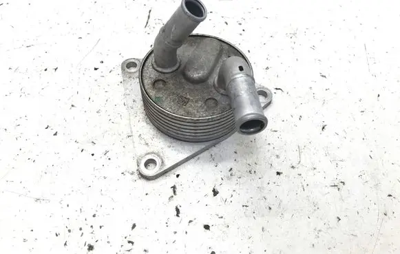 Lexus RZ Optional radiator W2A