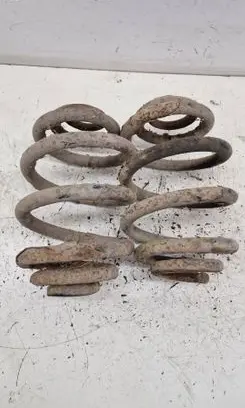 Rear coil spring