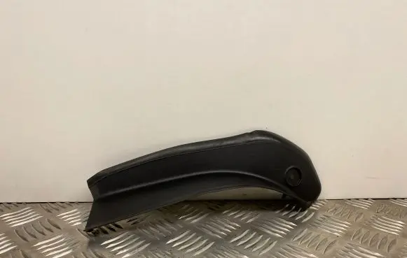 Rear/tail light trim molding