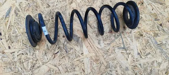 Rear coil spring