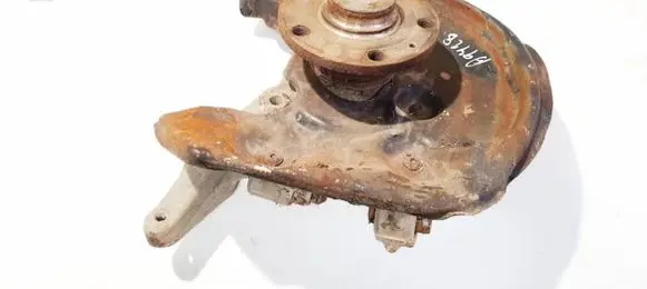 Volkswagen Tiguan Rear wheel hub didzioji