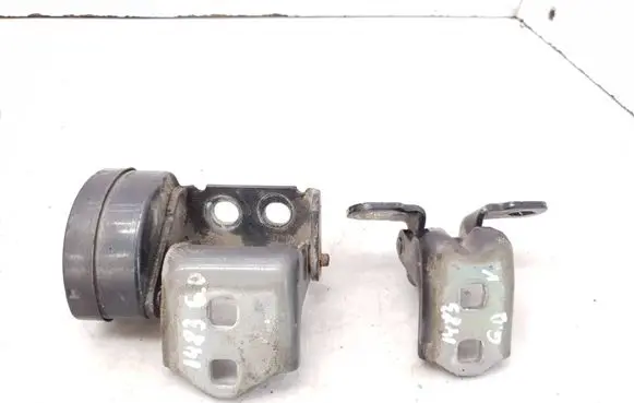 Renault Scenic II - Grand scenic II Rear door hinge set TEB66