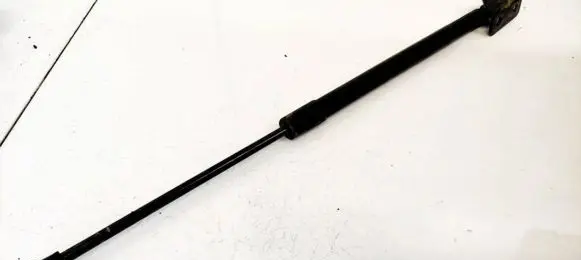 Chevrolet Captiva Tailgate/trunk strut/damper 96984466