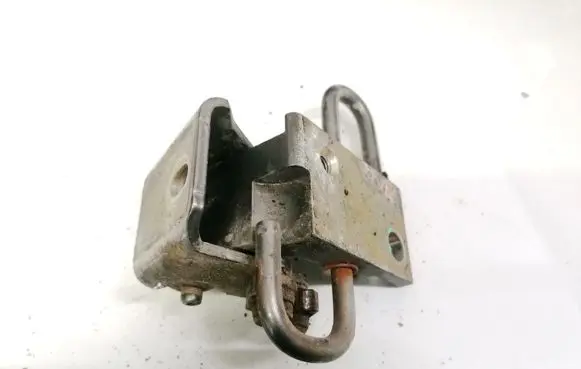 Rear door lower hinge