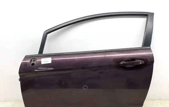Ford Fiesta Front door 