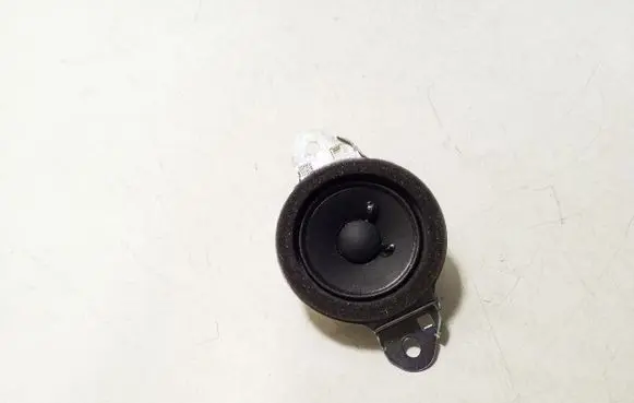 Panel speaker