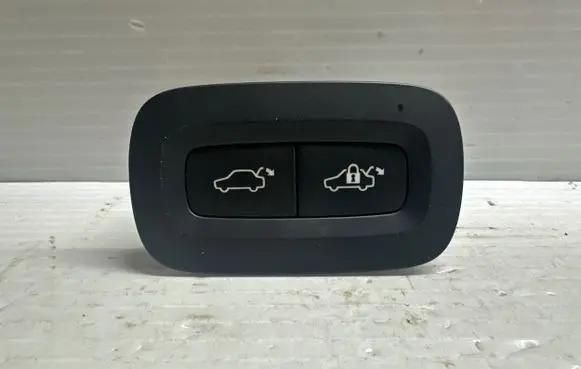 Tailgate opening switch