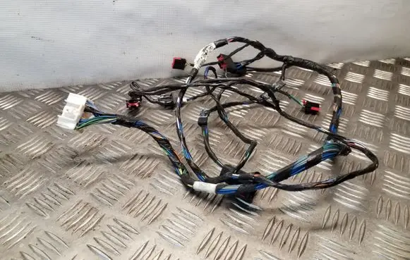 Chrysler 300 - 300C Other wiring loom 9403875