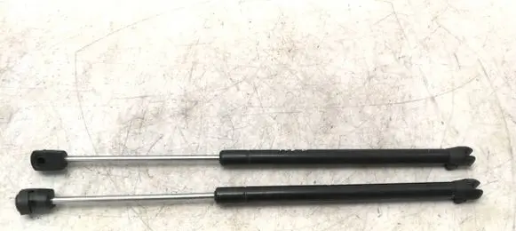Tailgate/trunk strut/damper