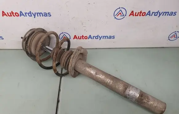BMW 5 E39 Front shock absorber/damper 1096862 31311096862