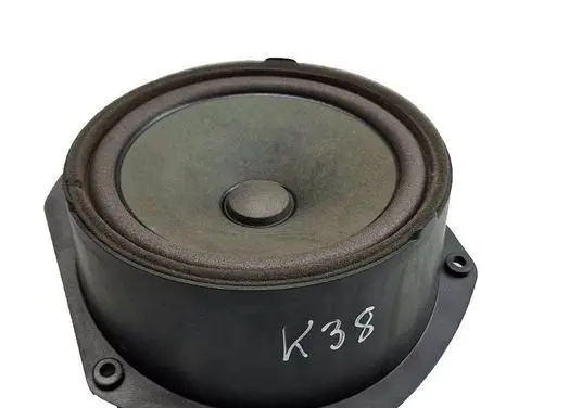 Tesla Model S Front door speaker 100483302A