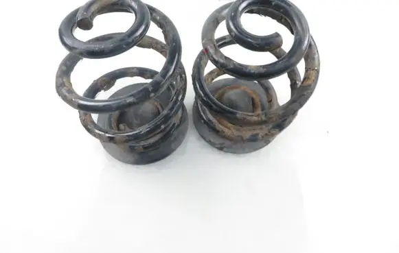 BMW 3 E46 Rear coil spring