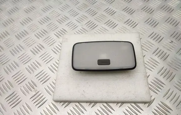 Toyota RAV 4 (XA50) Rear seat light