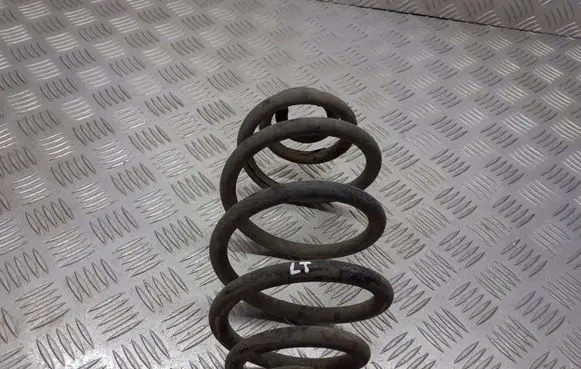 Volkswagen PASSAT B5.5 Rear coil spring