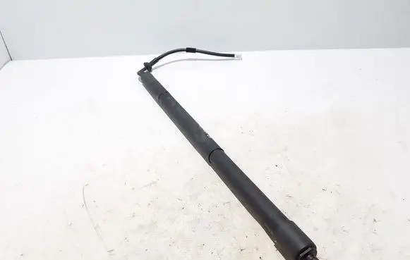Lexus RX V Tailgate strut 689100E150