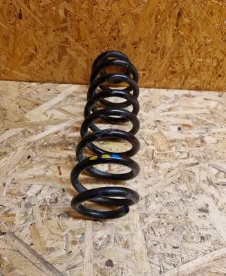 Rear coil spring
