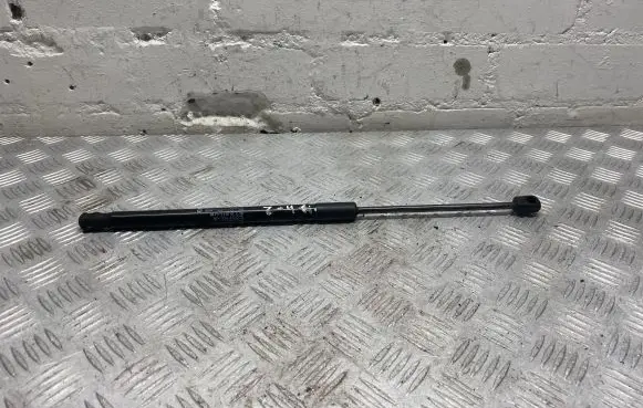 Front bonnet/hood damper/strut