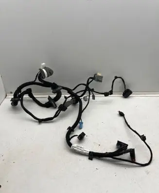 Front door wiring loom