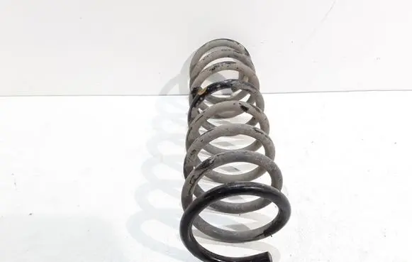 Ford Grand C-MAX Rear coil spring