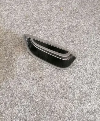 Rear door glass trim molding
