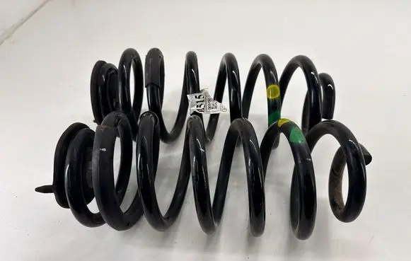Ford Ecosport Rear coil spring GN155599A3A GN1Z5560S GN1Z5560D