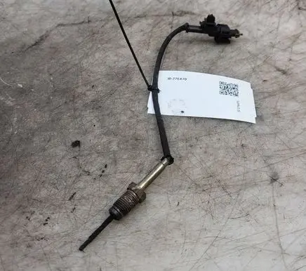 Hyundai Santa Fe Exhaust gas temperature sensor