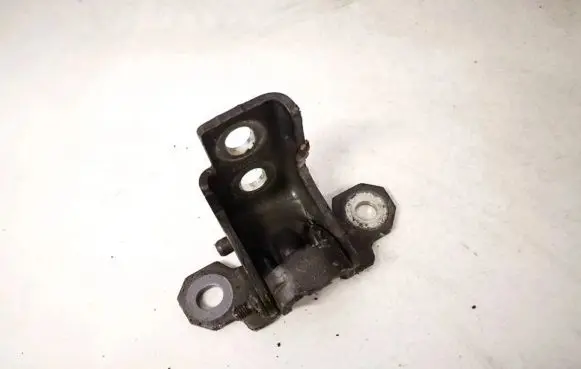 Renault Scenic III - Grand scenic III Rear door lower hinge