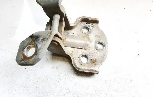 Hyundai Trajet Rear door lower hinge
