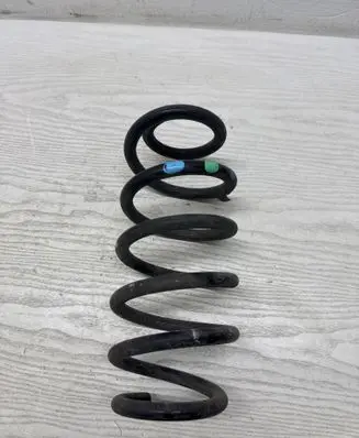 Rear coil spring