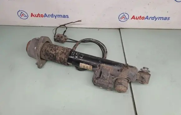 BMW X5 E70 Rear shock absorber/damper 6794541 37126794541