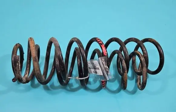 Rear coil spring