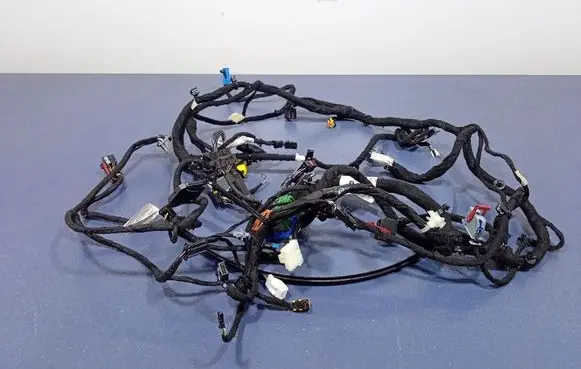 Other wiring loom