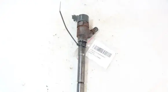 Hyundai Santa Fe Fuel injector 0445110254