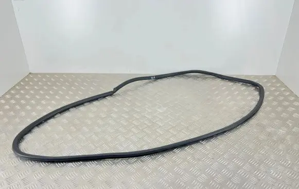Lexus IS III XE30 Front door rubber seal 181419821
