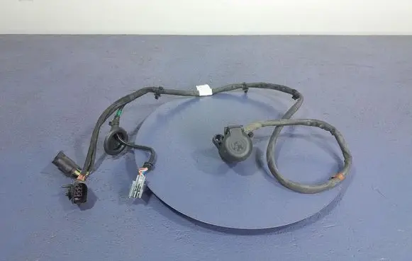 Other wiring loom