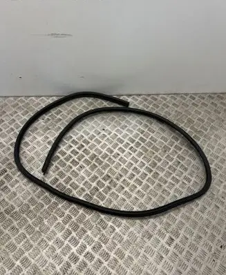 Dacia Spring Front door rubber seal 808333665R