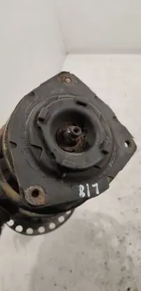 Renault Clio III Front shock absorber with coil spring