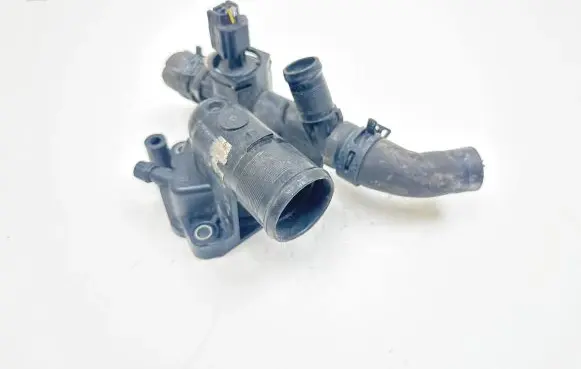 Thermostat/thermostat housing