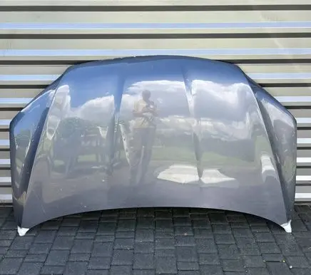 Honda Pilot II Engine bonnet/hood