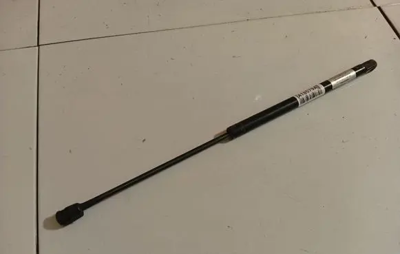 Tailgate/trunk strut/damper